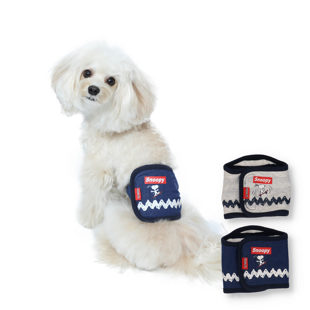 PEANUTS ピーナッツ SNOOPY スヌーピー スケボースヌーピーマナー