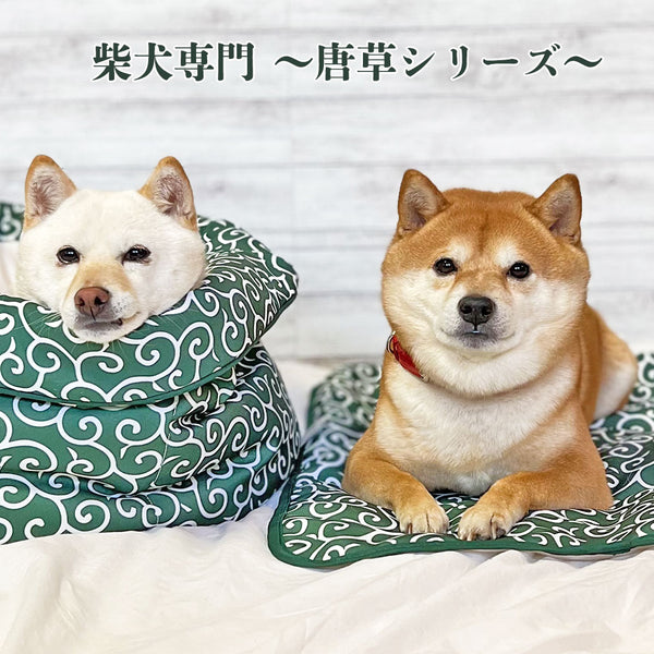 柴犬専門ブランド mamemochi から〜唐草まみれシリーズ〜 沼る唐草