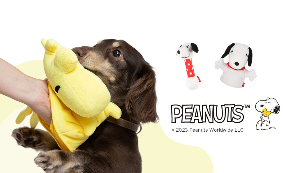 PEANUTS -ピーナッツ-