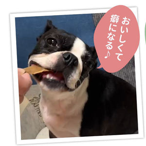 国産 無添加 牛タン皮　大容量480g 犬用おやつ 食いつき抜群