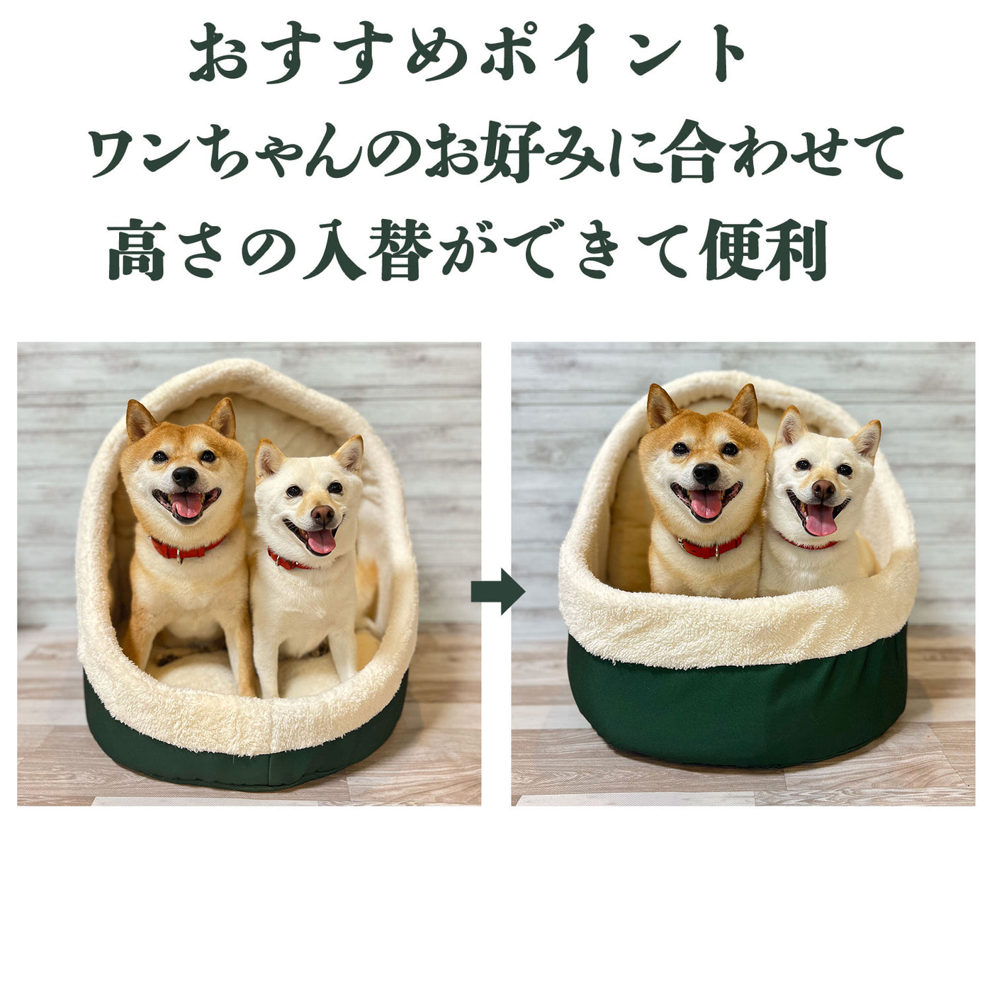 犬猫 ペット用 コレクション つぼ型ベッド