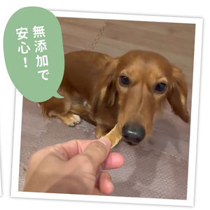 国産 無添加 牛タン皮　大容量480g 犬用おやつ 食いつき抜群