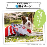 pipi お祭りはっぴ 中大型犬 ペット用品