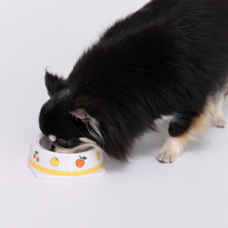 miffy ミッフィーフードボウル ペット用食器
