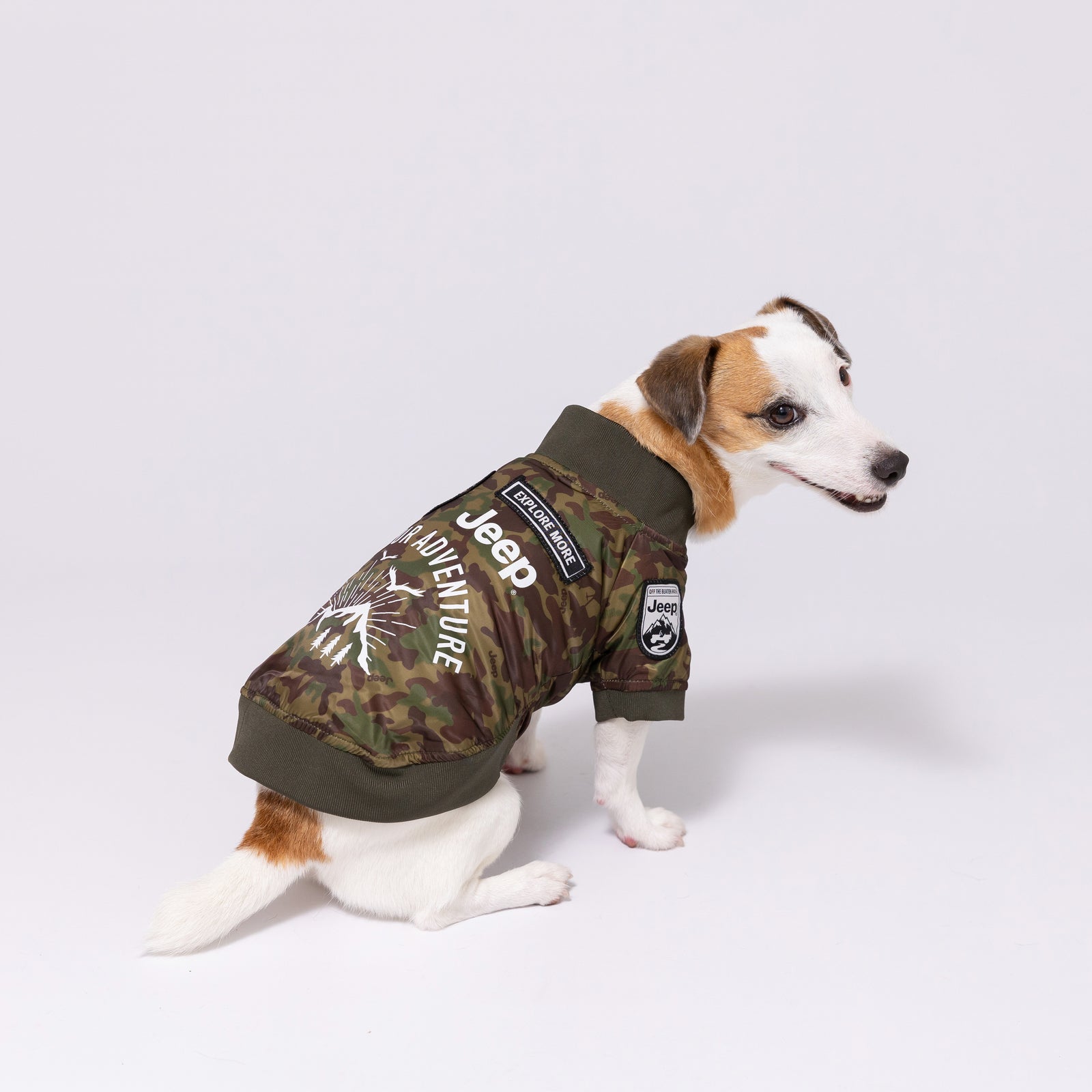 20230610_1E1A8538_1600x.jpg?v=