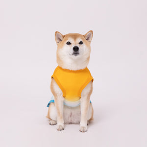 OUTDOOR PRODUCTS グラデーションクールタンク 中・大型犬 ペット用品 26SS