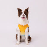 OUTDOOR PRODUCTS グラデーションクールタンク 中大型犬 ペット用品