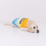 OUTDOOR PRODUCTS グラデーションクールタンク 中大型犬 ペット用品