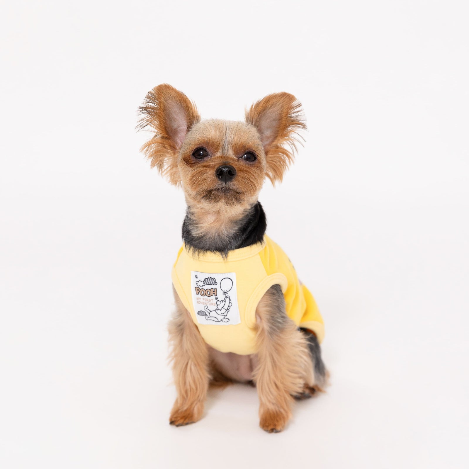 みかさま専用☺︎わんこふく 犬服 犬用品