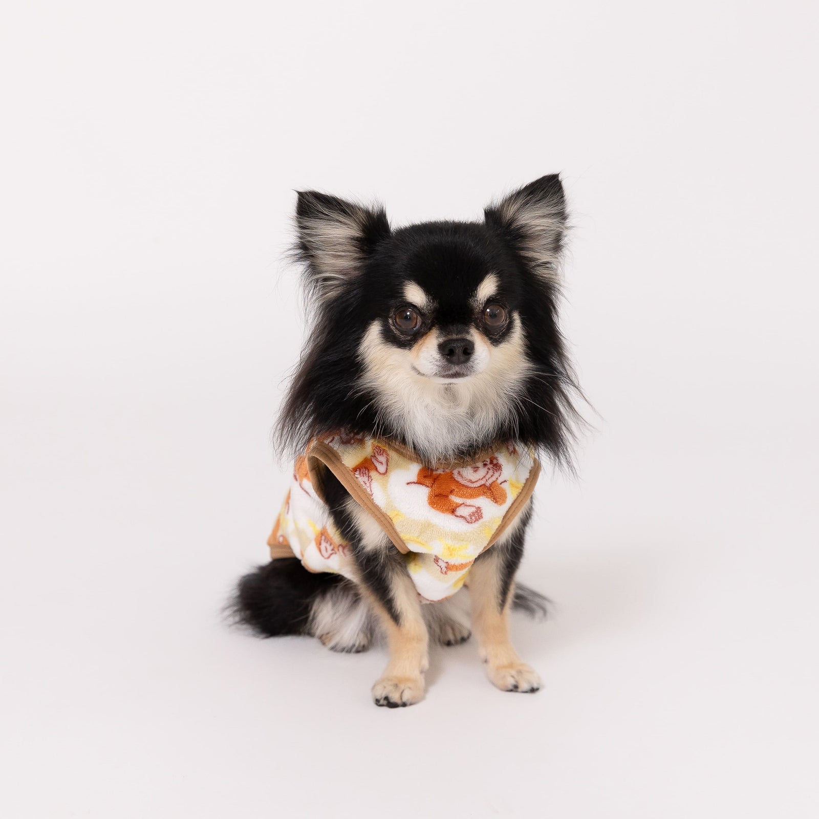 極暖　ジョージ 犬服 GEORGE おまとめ 4580371976969_e_1600x.jpg?v=