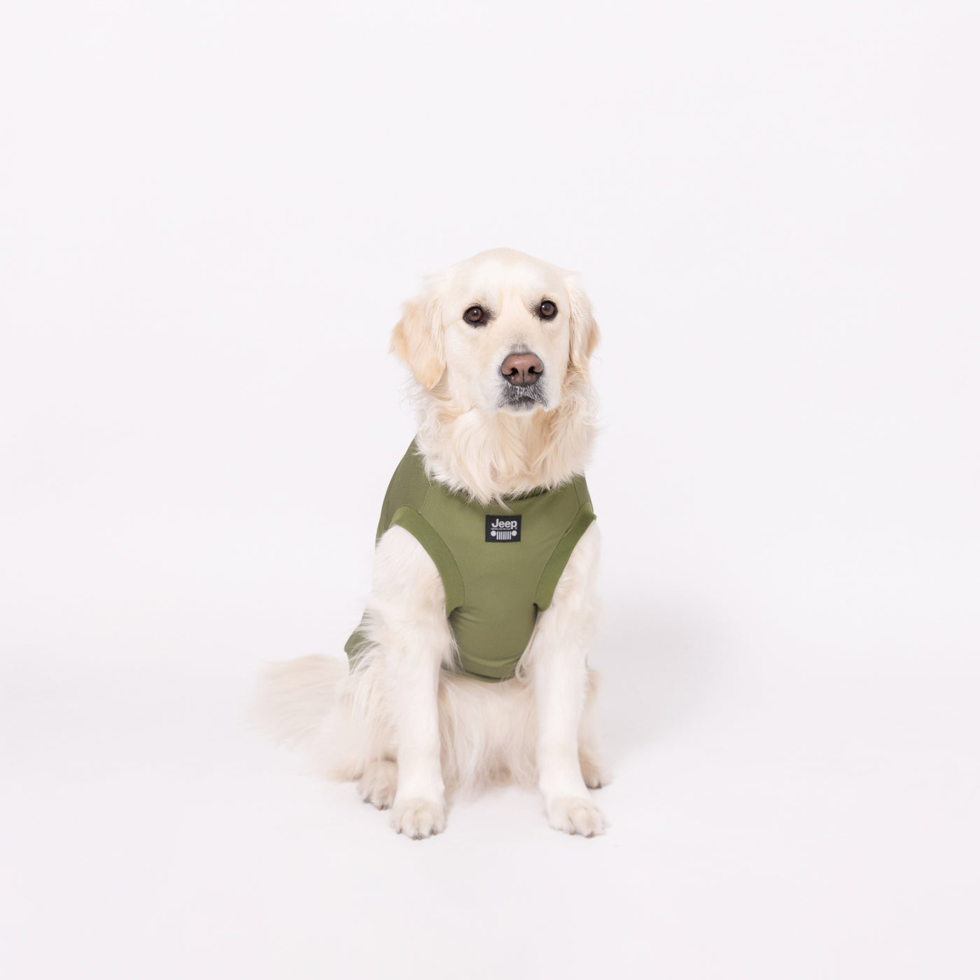 楽天市場】大型犬 服 春 夏 大型犬用 ポケット 付 メッシュ