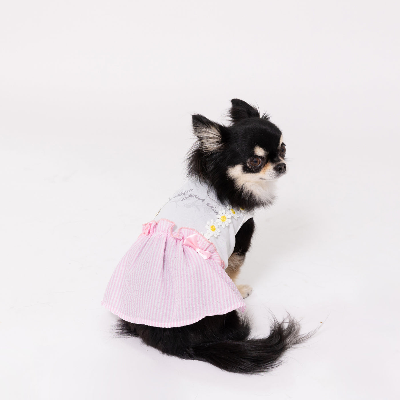 PiPiシアサッカーワンピ 犬服 ペットウェア ペット用品｜MOFF