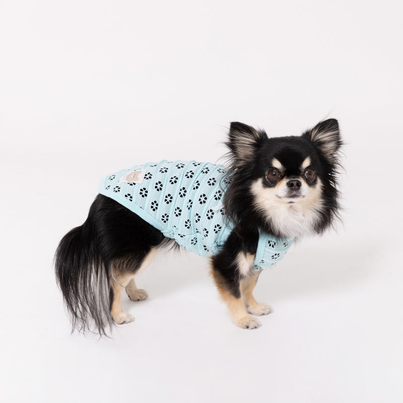 【3点購入で50％OFF】pipi アイレット メッシュ キャミソール サックス/ピンク 犬 いぬ 犬服 ペットウェア ドッグウェア 春服 夏服 春夏服 ミニチュアダックス 日焼け対策 女の子 かわいい おしゃれ