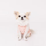 【3点購入で50％OFF】pipi アイレット メッシュ キャミソール サックス/ピンク 犬 いぬ 犬服 ペットウェア ドッグウェア 春服 夏服 春夏服 ミニチュアダックス 日焼け対策 女の子 かわいい おしゃれ