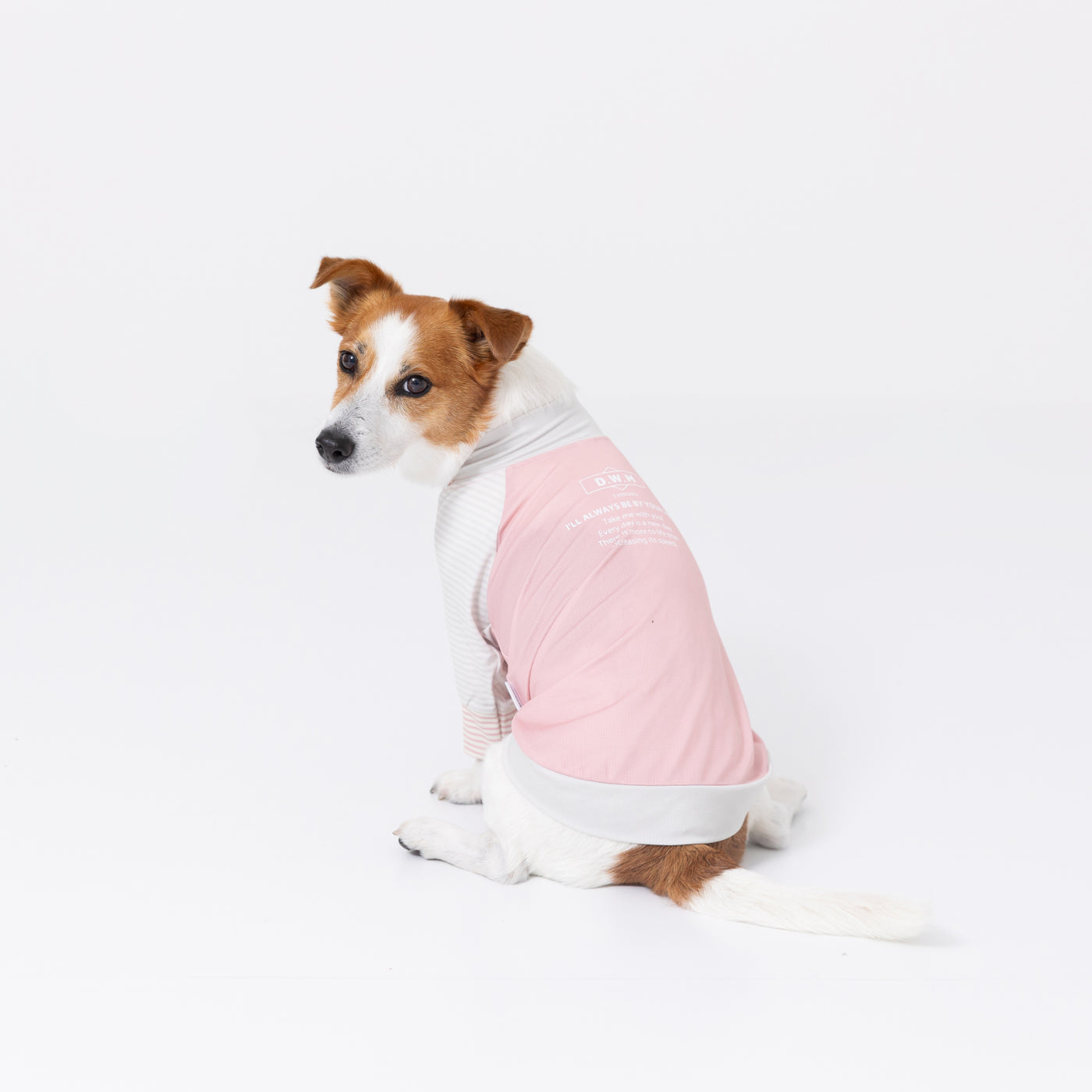 PiPi虫よけメッシュTシャツ 犬服 ペットウェア ペット用品｜MOFF(モフ) 犬服 ドッグ ペットウェア ショップ – PET LIFESTYLE  MOFF