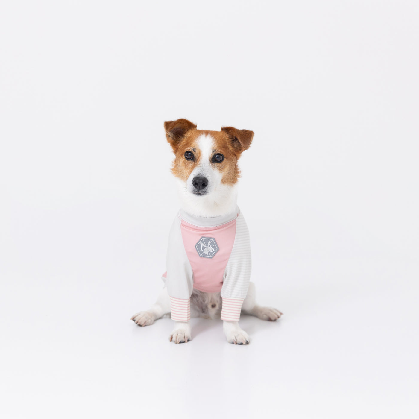 PiPi虫よけメッシュTシャツ 犬服 ペットウェア ペット用品｜MOFF(モフ) 犬服 ドッグ ペットウェア ショップ – PET LIFESTYLE  MOFF