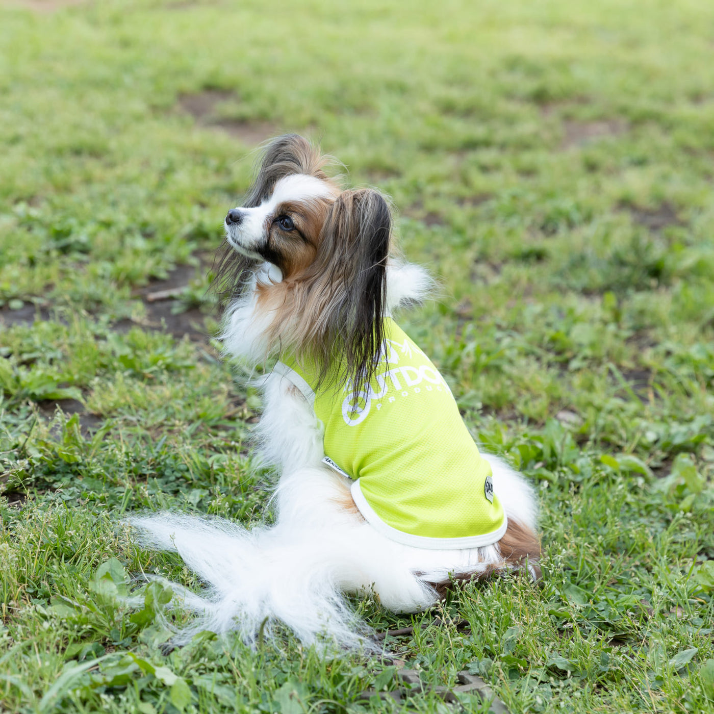 匿名配送】 ボシュプルメット 動物柄 ノースリーブ オールインワン 黒