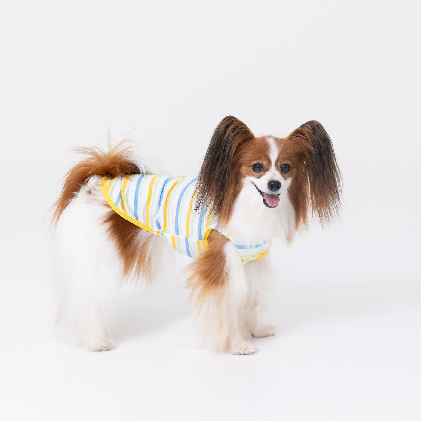 no. 1629 ハンドメイド 犬服