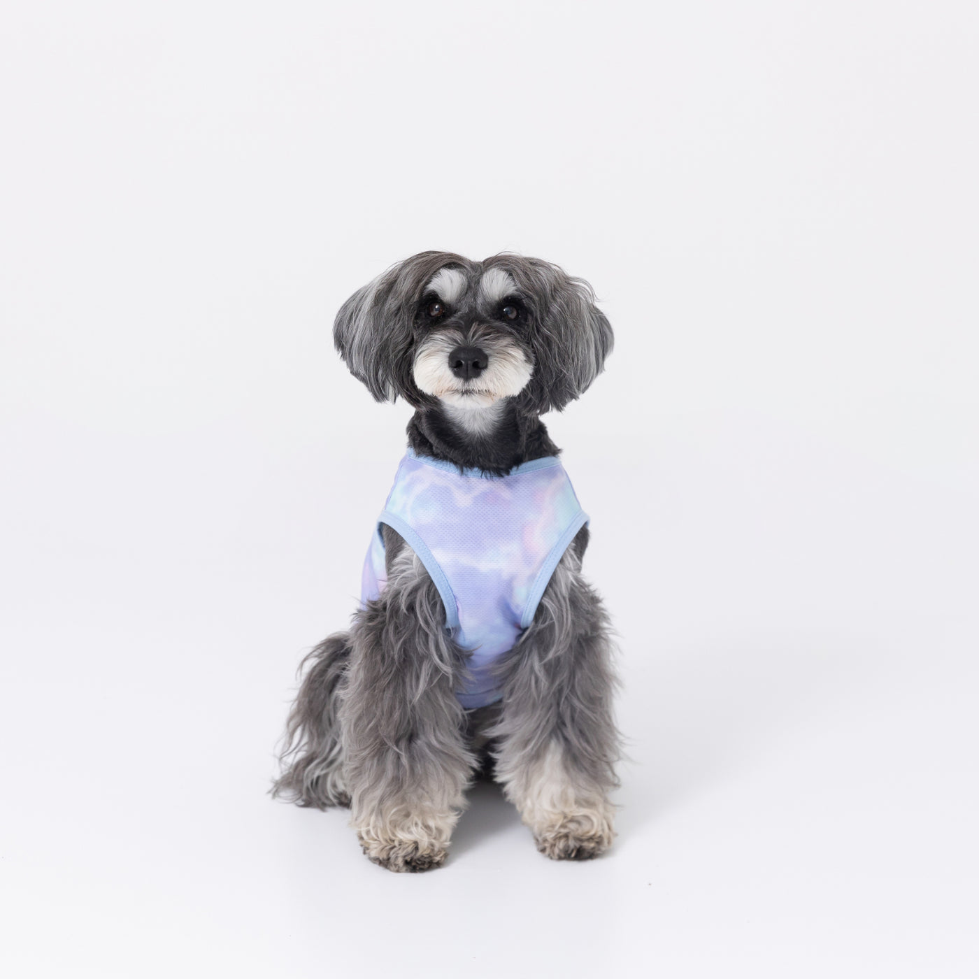 DOG DEPT フード付き犬服 スーパークール 犬服 / ドッグウェア】スーパークールノースリーブ / DOG DEPT