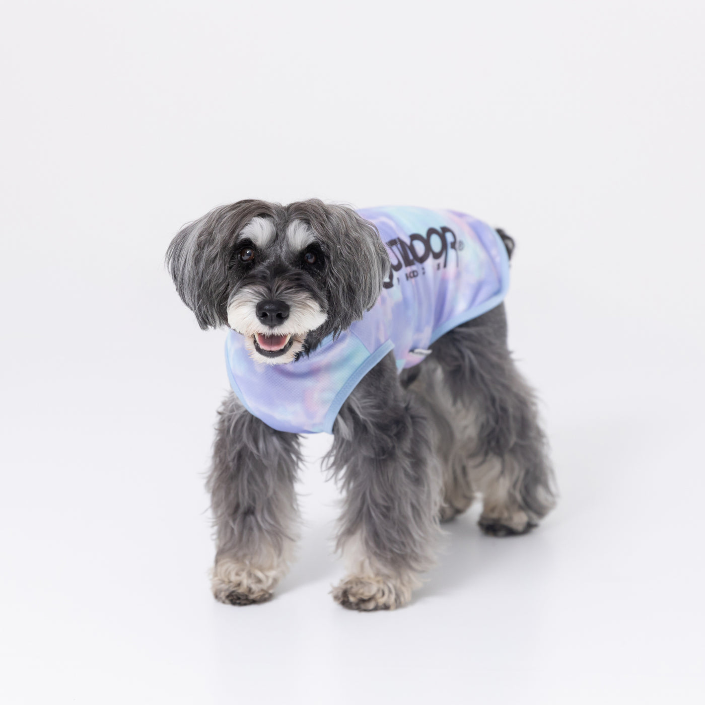 専用　クール犬服　大型犬 楽天市場】FBXXL クールシャツ 全25種 中型犬 首太 胴短 夏用