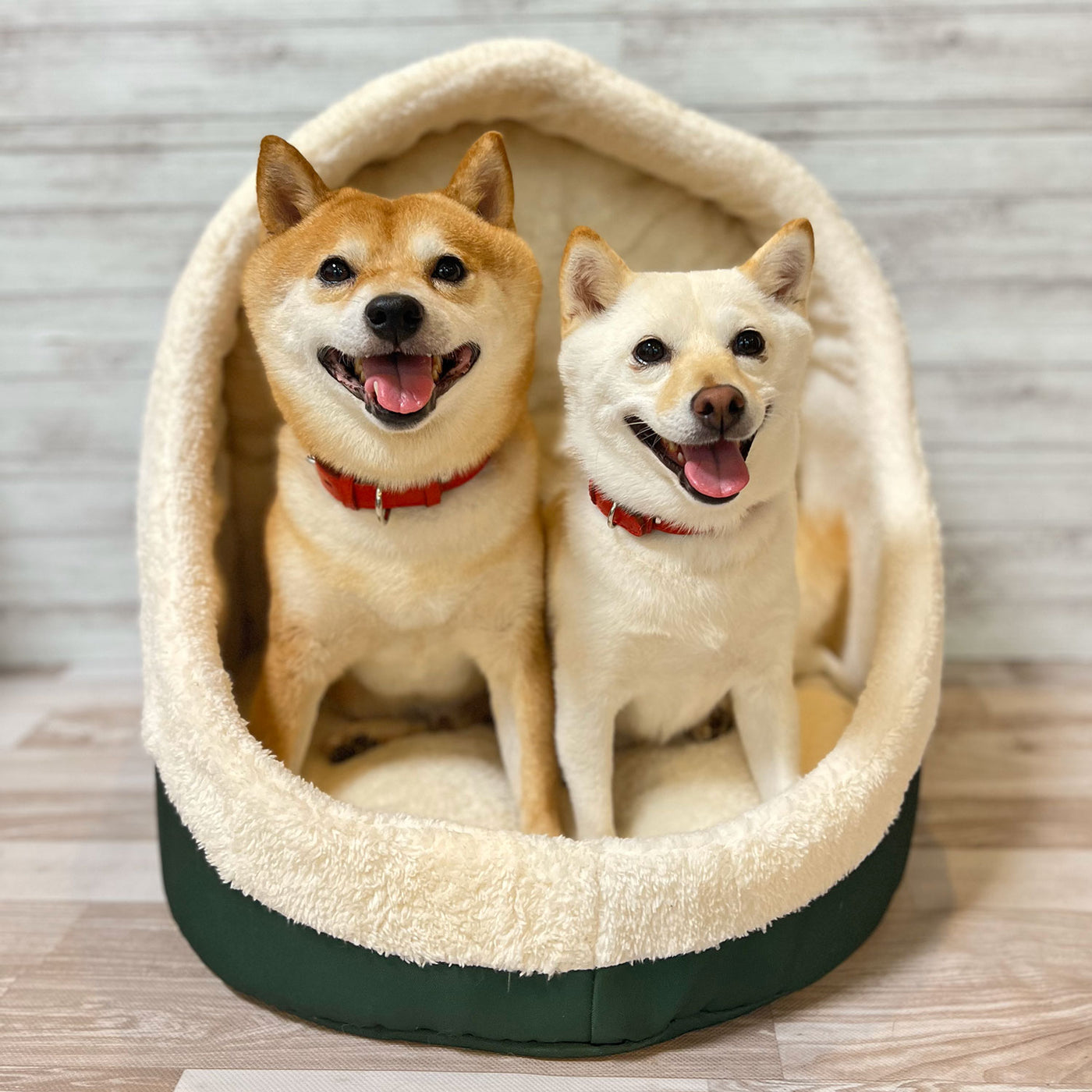 ▶︎ 目を覚ましてもベッドでだらだら。 冬よりはお布団から出て