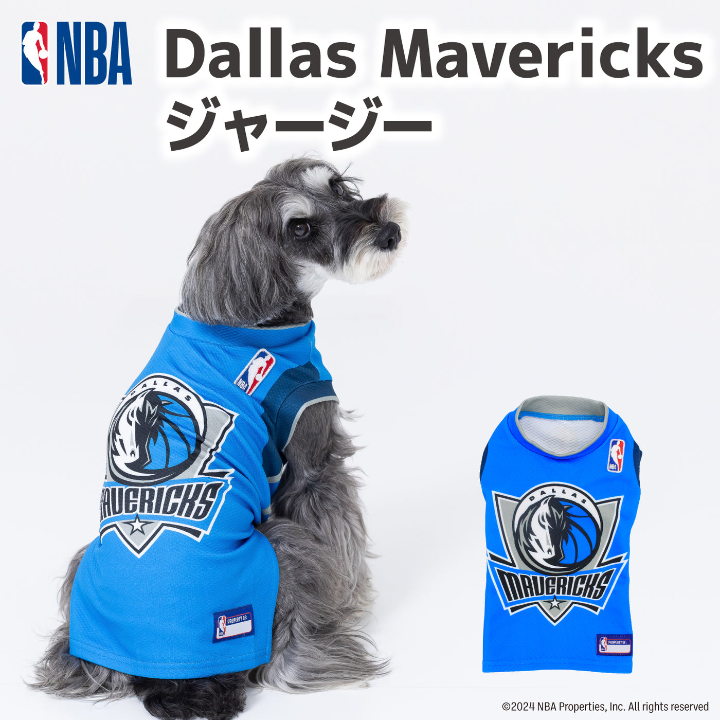 NBA MAVERICKSジャージー 犬服 ペットウェア ペット用品｜MOFF(モフ) 犬服 ドッグ ペットウェア ショップ – PET  LIFESTYLE MOFF