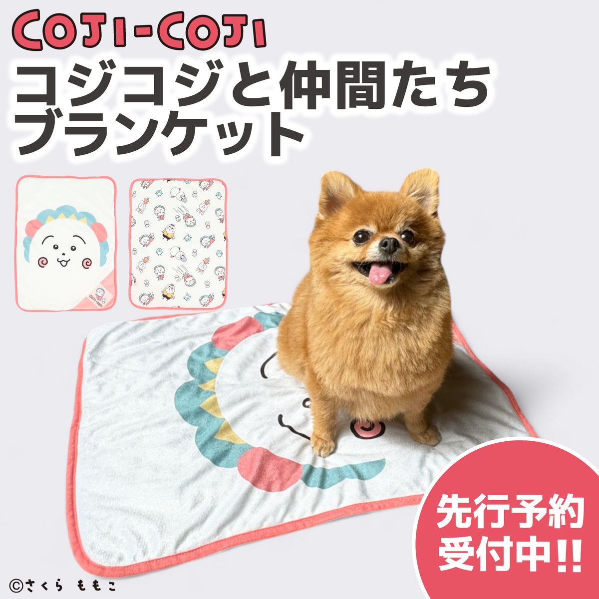 倉庫整理品 大型犬までくつろげる室内ベット 新品 DOGGY Mam ドギーマン ペット専用ベット