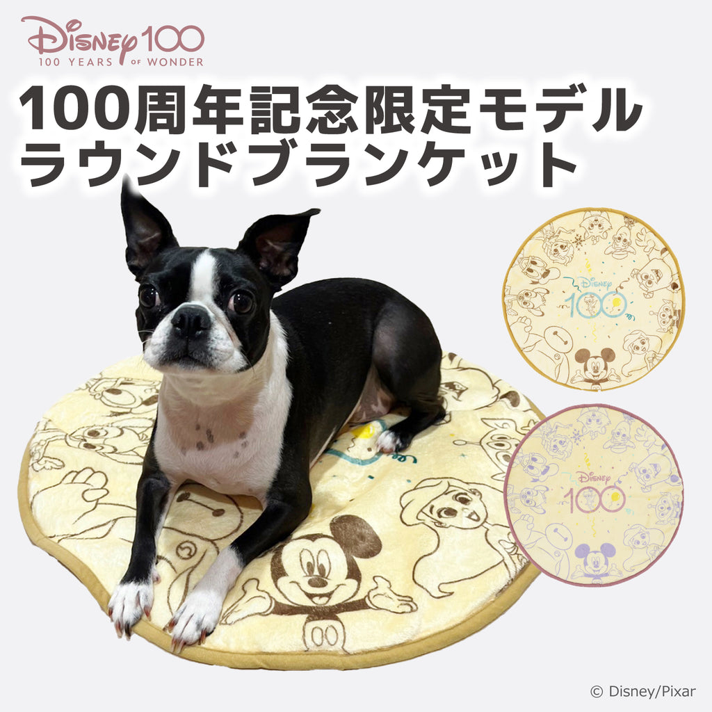 Disney100 ラウンドブランケット ブルー – PET LIFESTYLE MOFF