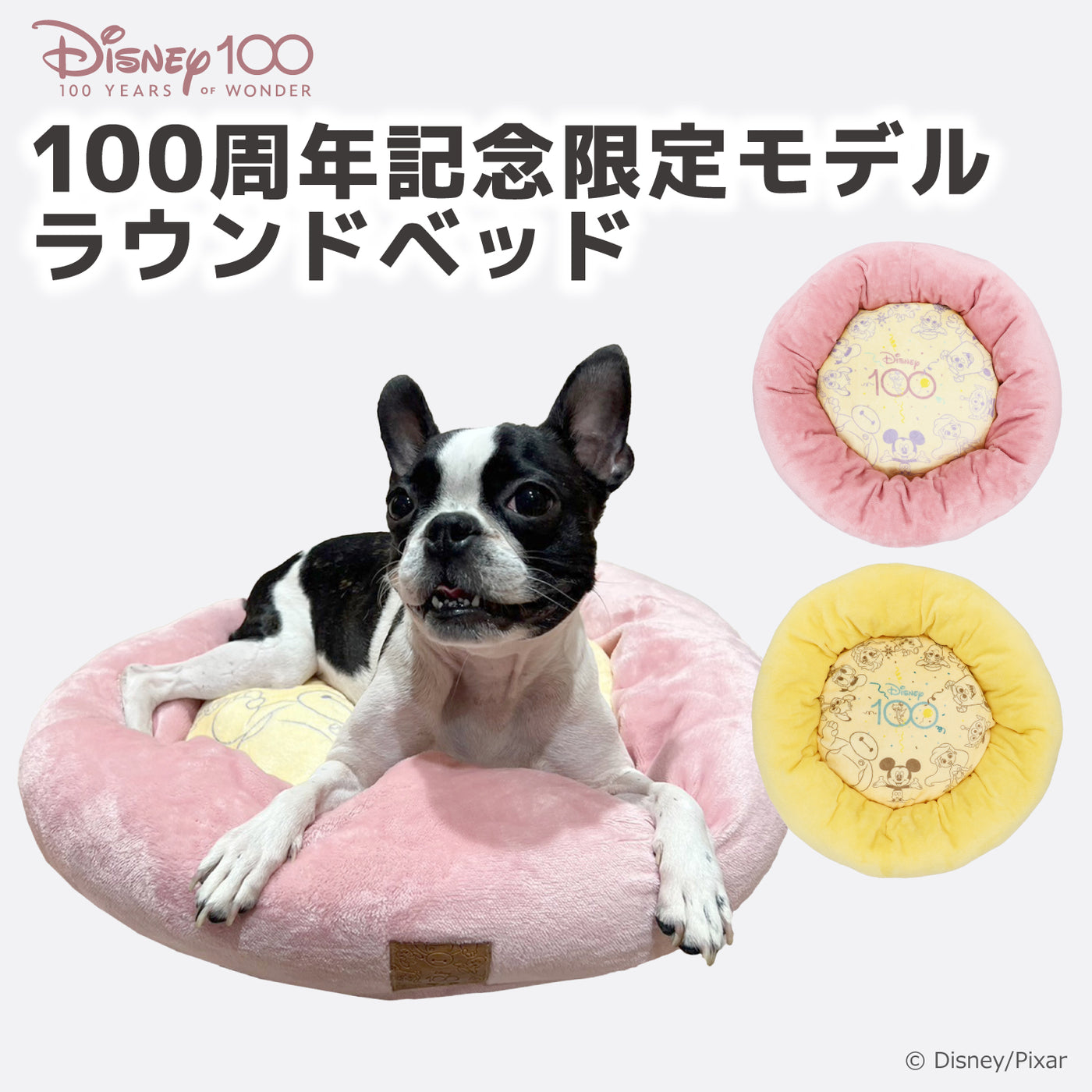 Disney100 ラウンドベッド ピンク – PET LIFESTYLE MOFF