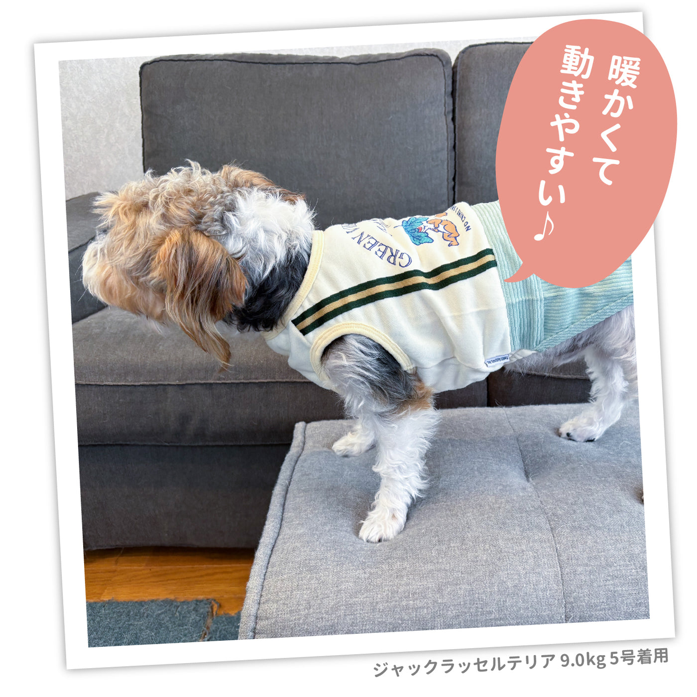 マドレーヌ犬服 楽天市場】クマさんぬいぐるみ付きコットンガーゼベスト 犬服