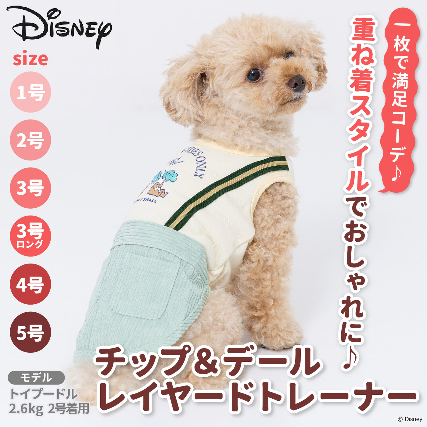 Disney チップ＆デールレイヤードトレーナー ペット用品 ペット
