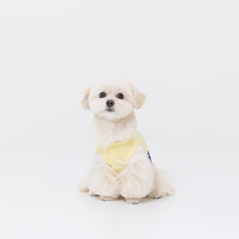 【3点購入で50％OFF】Disney プーさんレイヤードトレーナー ペット用品 ペットウェア 犬服