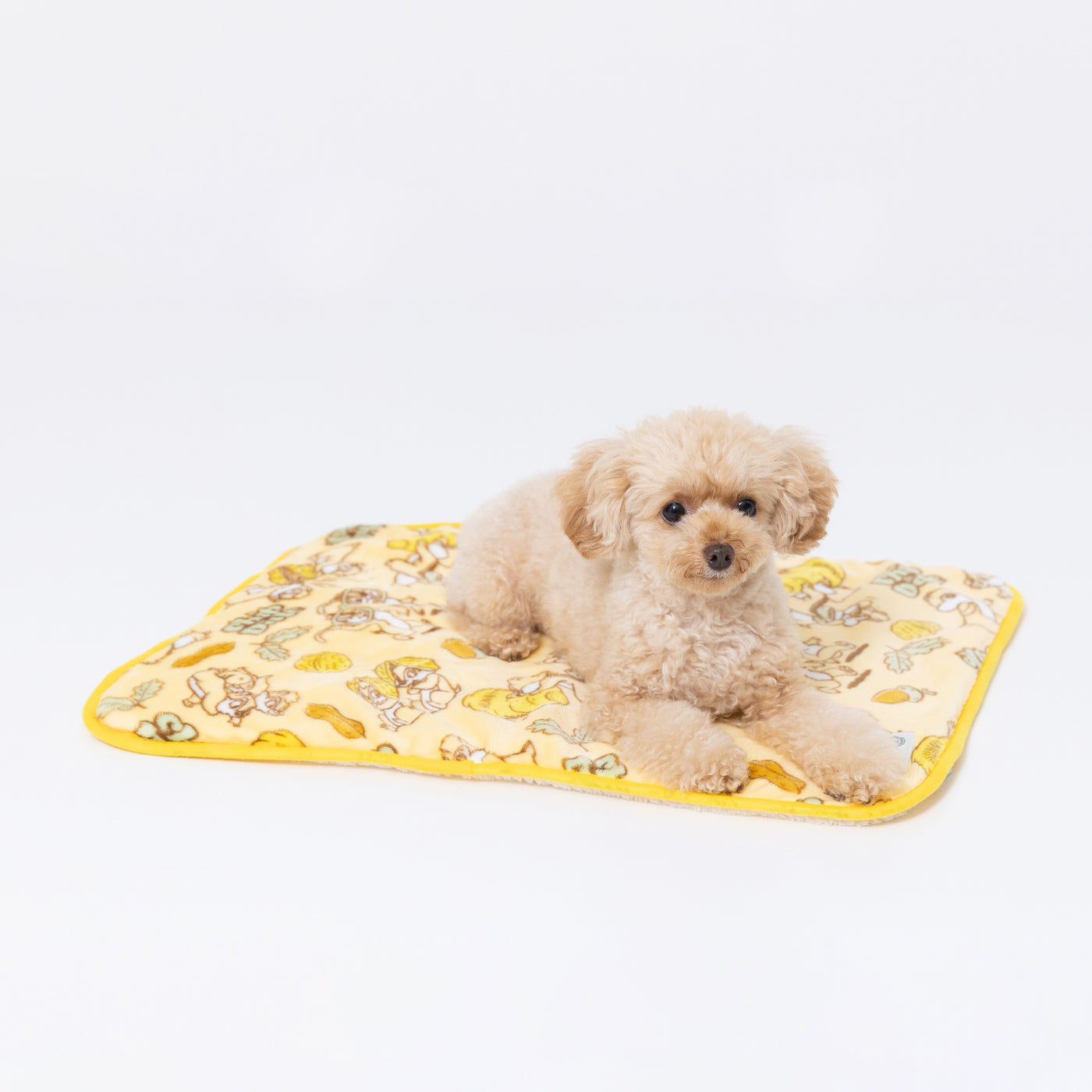 Disney チップ＆デールボアブランケット ペット用品 ペットベッド 犬服