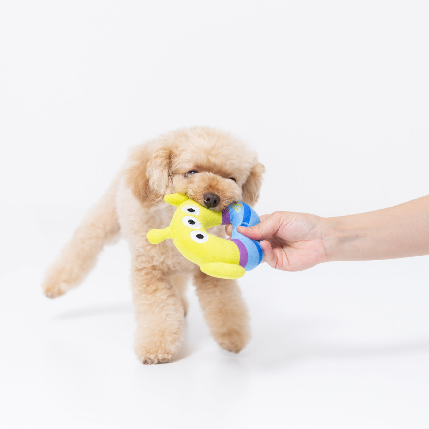 TOY STORY ドーナツトイ ペット用品 ペットおもちゃ 犬服 ペット