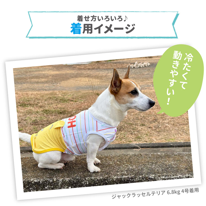 プーさんボーダーフェイスタンク ペット用品 接触冷感 COOL