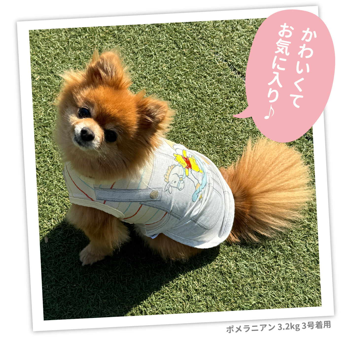 プーさん 秋 くまのプーさんと楽しい仲間たちの限定デザイン】本日はル