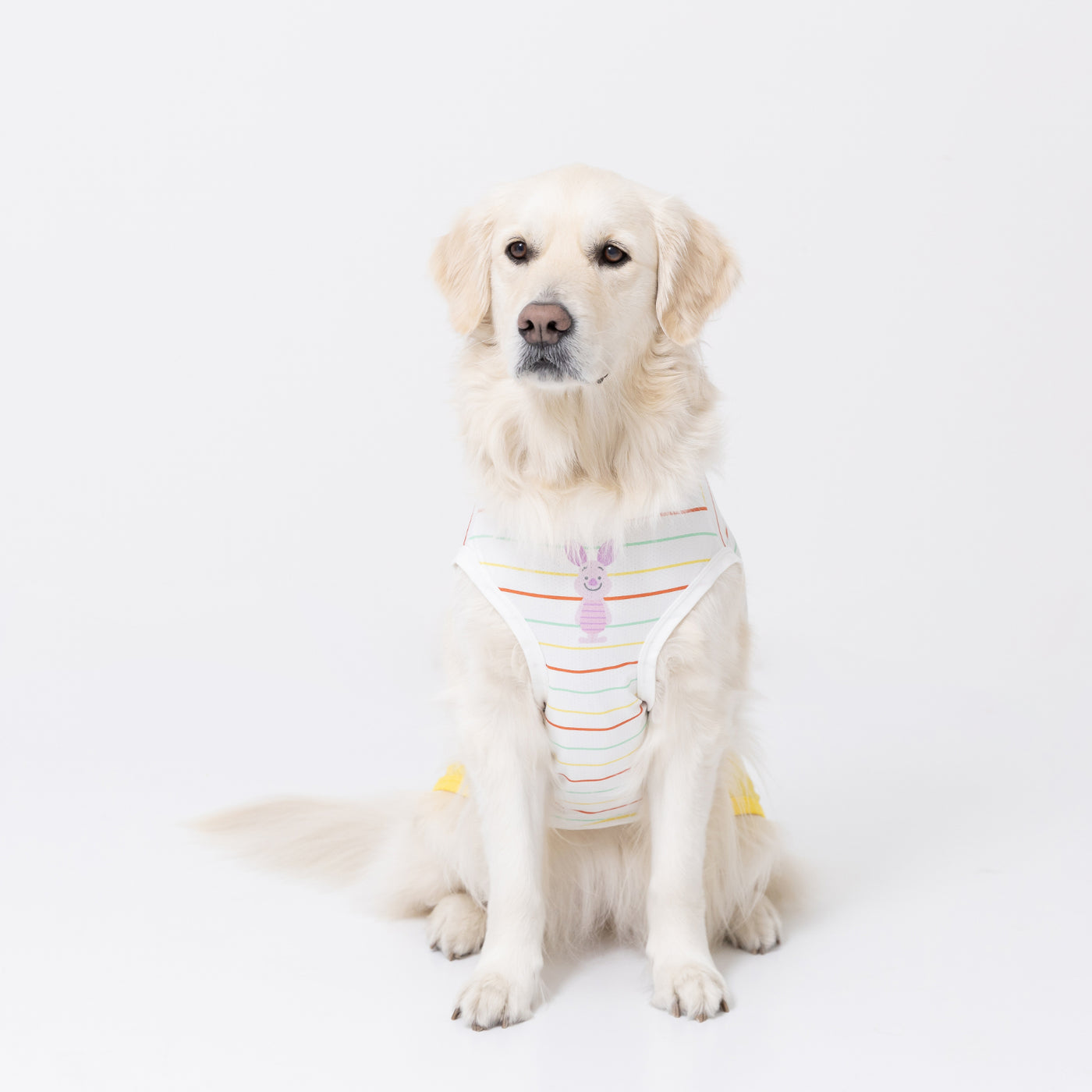 ECプーさんボーダーフェイスタンク中大型犬 ペット用品 犬服