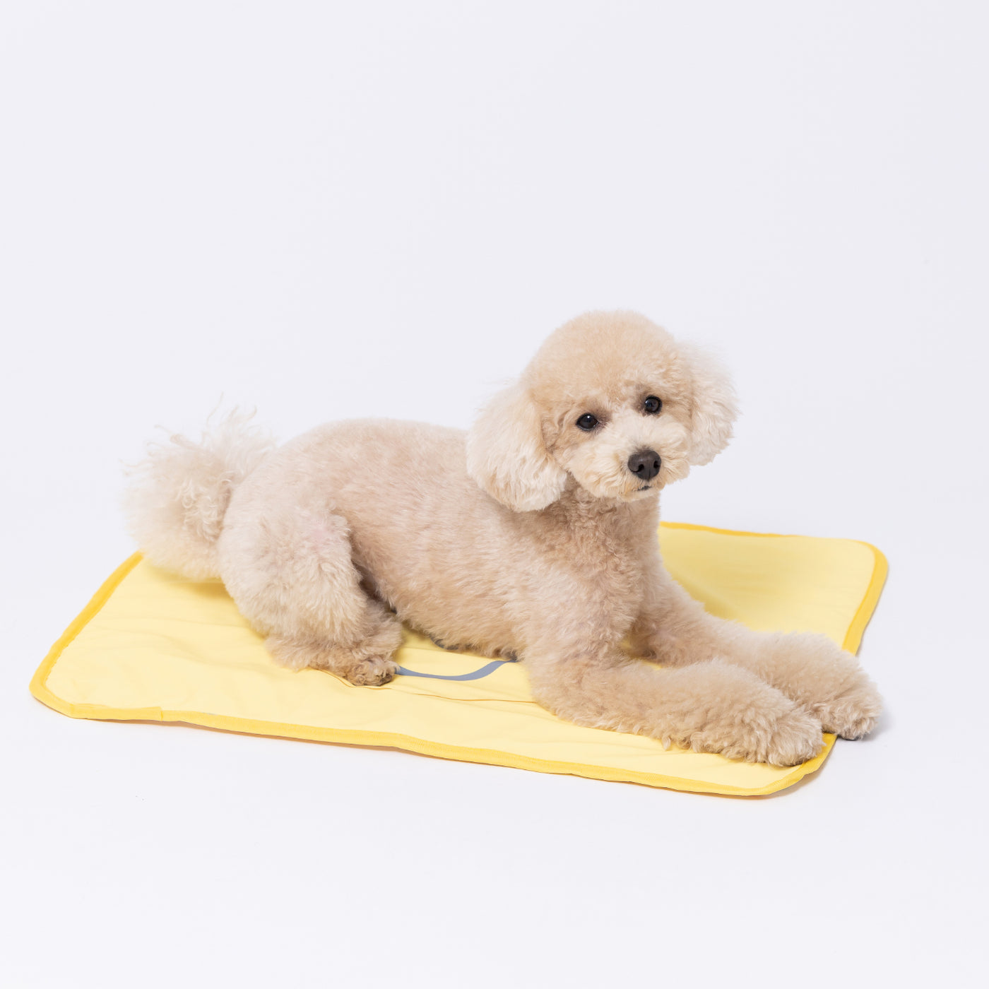 犬のプーさんさん専用 CQB-R 犬のプーさんさん専用 CQB-R