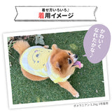 プーさんチェックシェニールニット ペット用品