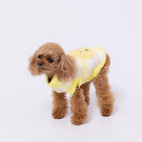 【先行予約 20％OFF】 プーさんチェックシェニールニット ペット用品