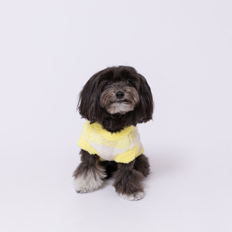 【先行予約 20％OFF】 プーさんチェックシェニールニット ペット用品