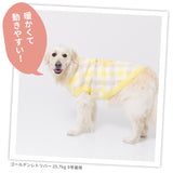 プーさんチェックシェニールニット中・大型犬 ペット用品