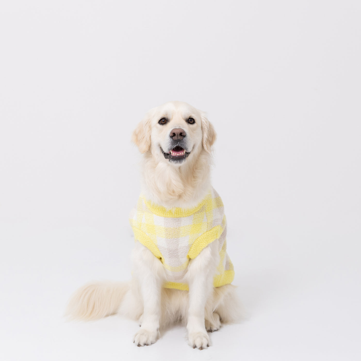 プーさんチェックシェニールニット中・大型犬 ペット用品 犬服 ペット