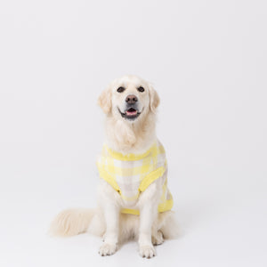 プーさんチェックシェニールニット中・大型犬 ペット用品