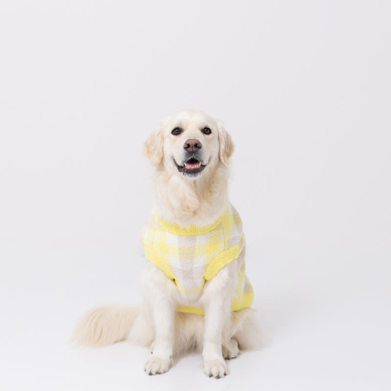 【先行予約 20％OFF】 プーさんチェックシェニールニット中・大型犬 ペット用品