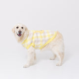 【先行予約 20％OFF】 プーさんチェックシェニールニット中・大型犬 ペット用品