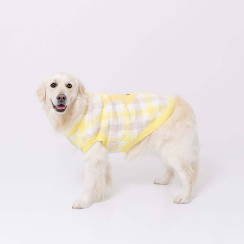 【先行予約 20％OFF】 プーさんチェックシェニールニット中・大型犬 ペット用品