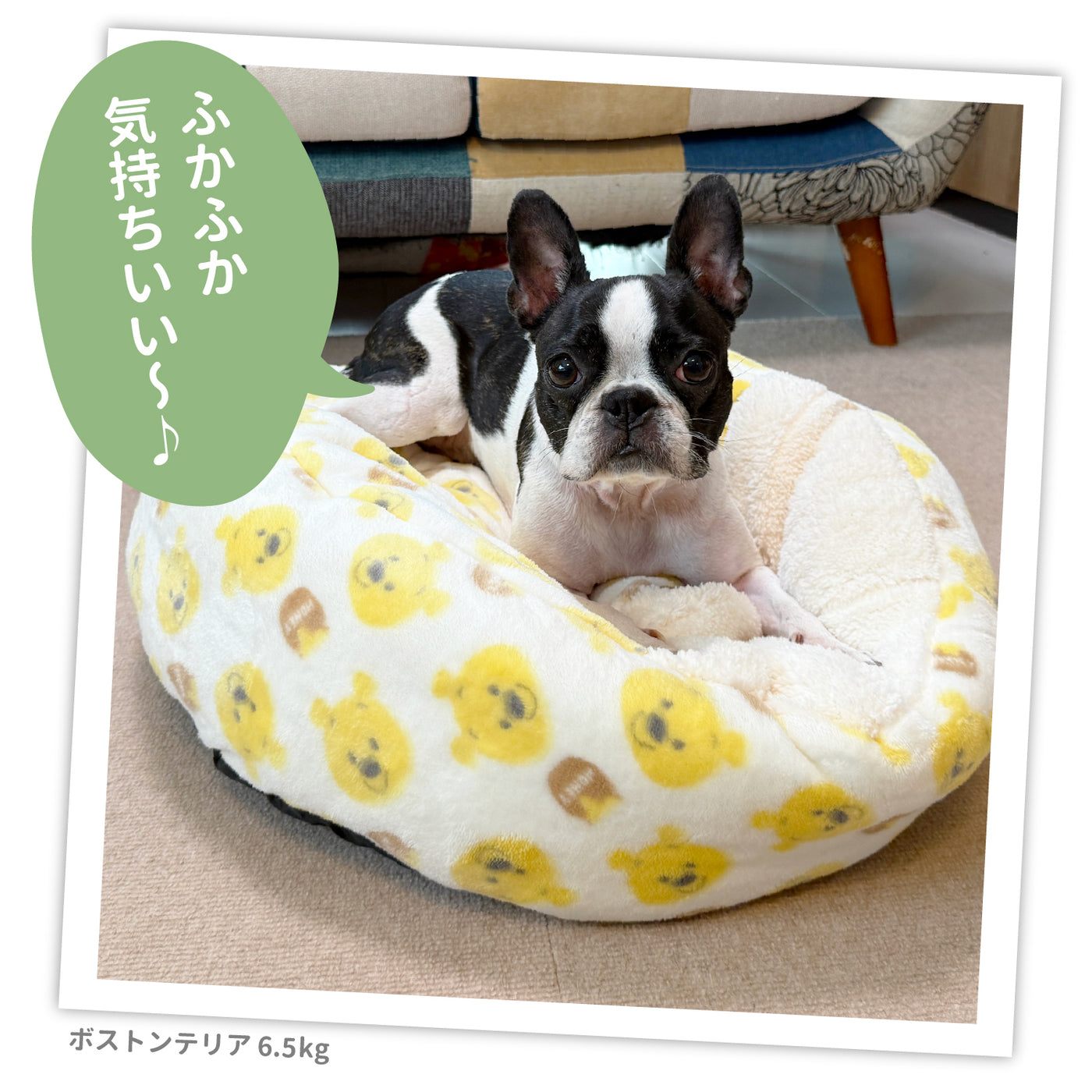 プーさんハニーボアラウンドベッド ペット用品 犬服 ペットウェア