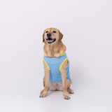 TOY STORYサーフタンク 中大型犬 ペット用品