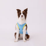 TOY STORYサーフタンク 中大型犬 ペット用品